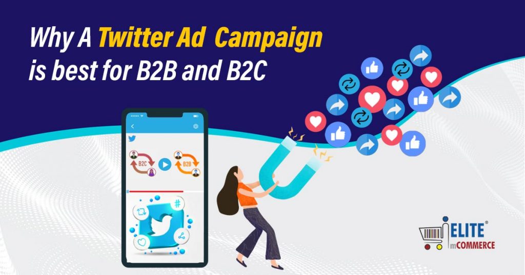 Why Twitter Video Ad Campaign is best for B2B and B2C